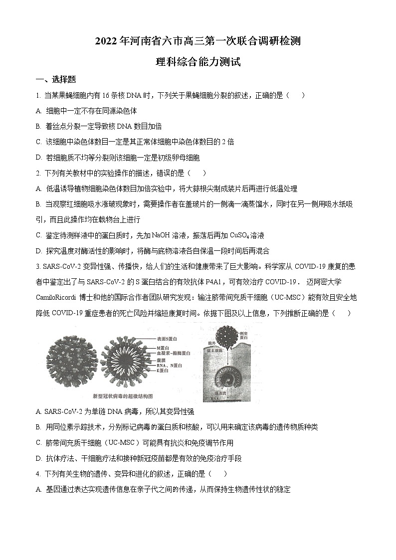 2022届河南省六市高三第一次联合调研检测理综生物试题无答案第1页
