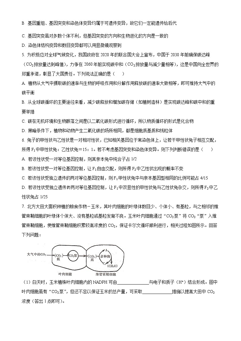 2022届河南省六市高三第一次联合调研检测理综生物试题无答案第2页