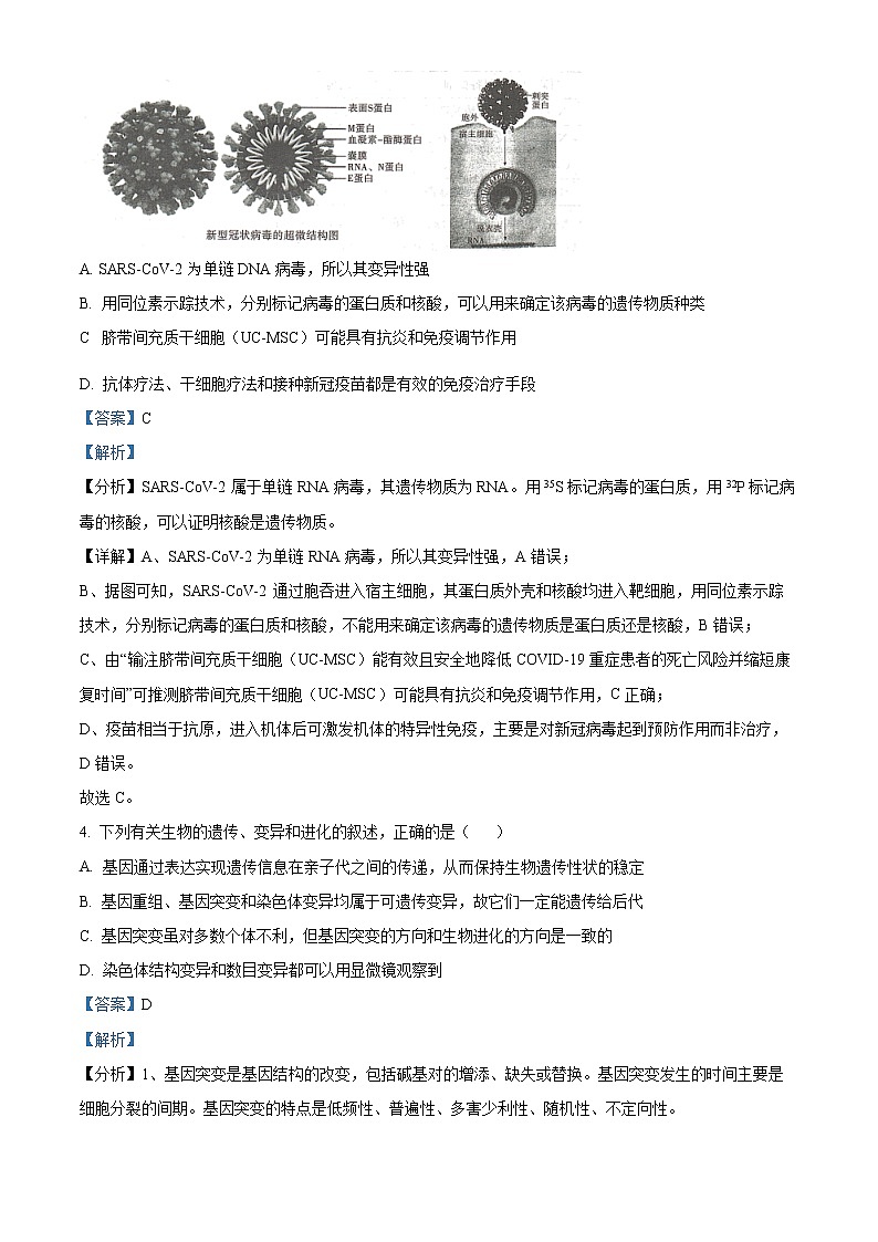 2022届河南省六市高三第一次联合调研检测理综生物试题含解析第3页