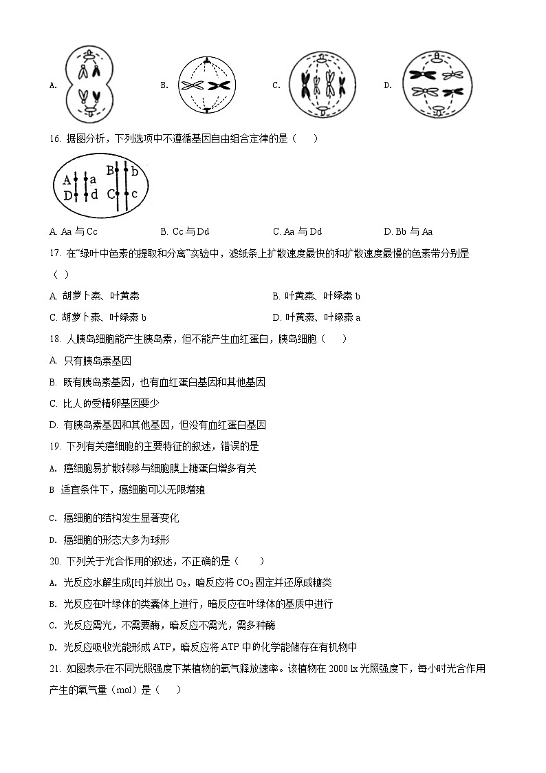 四川省资阳市外国语实验学校2021-2022学年高一下学期期中考试生物试题无答案第3页