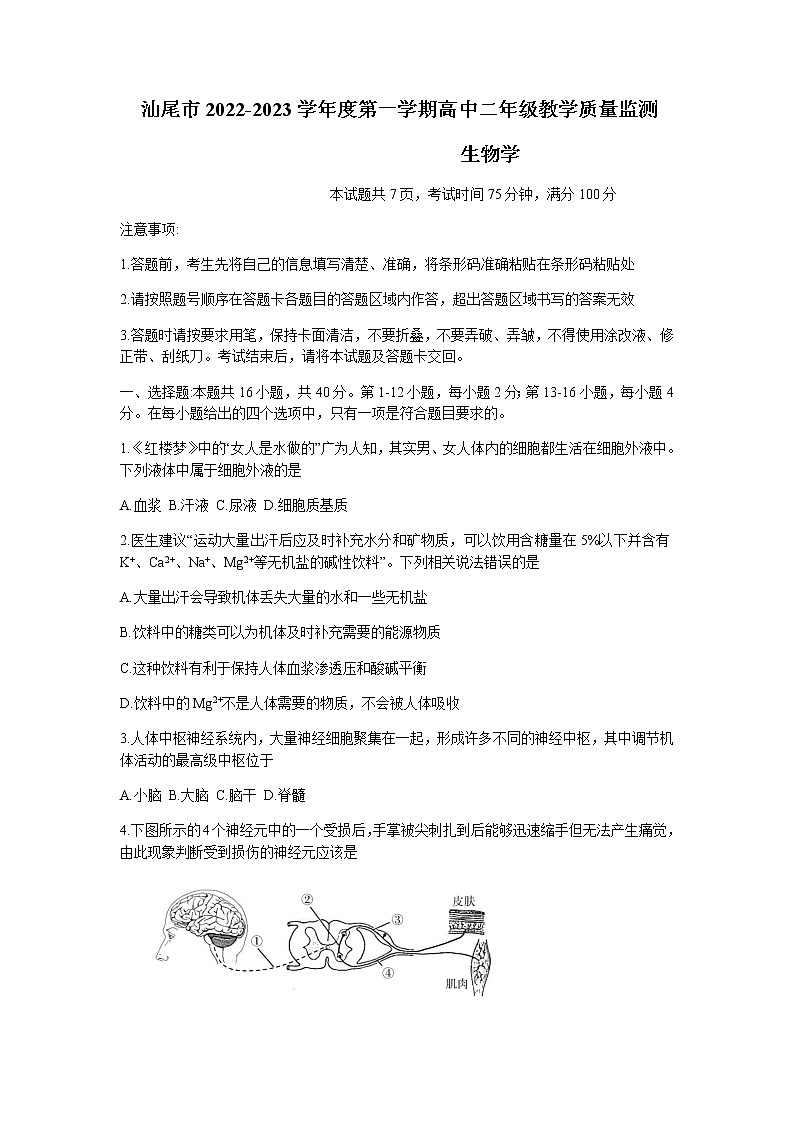 2022-2023学年广东省汕尾市高二上学期期末考试(2月)生物含答案第1页