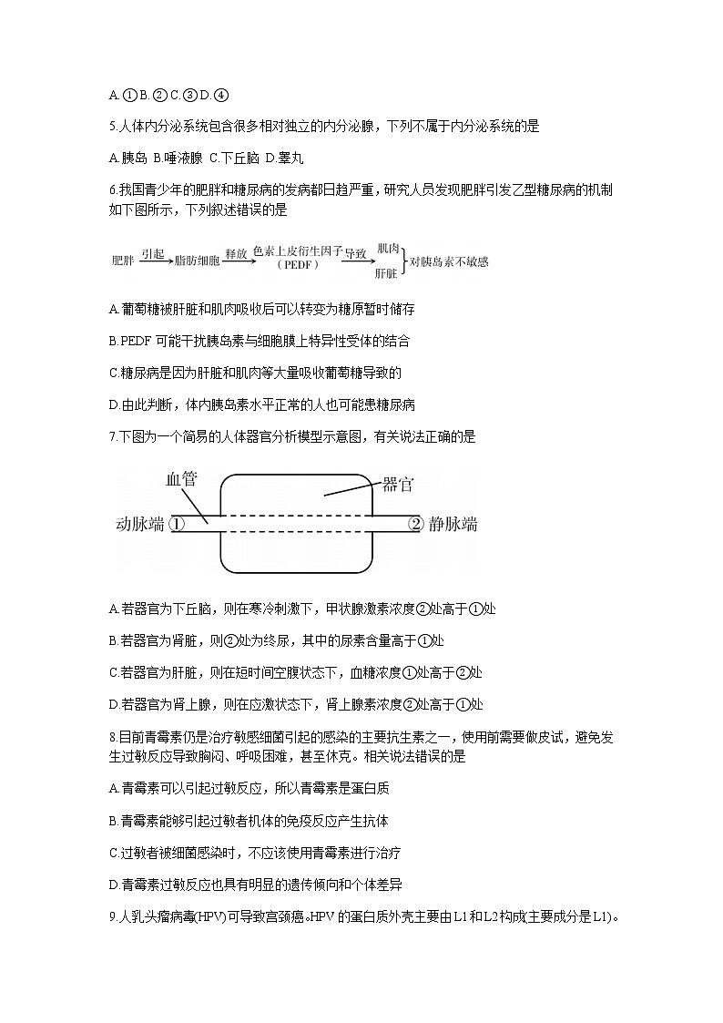 2022-2023学年广东省汕尾市高二上学期期末考试(2月)生物含答案第2页