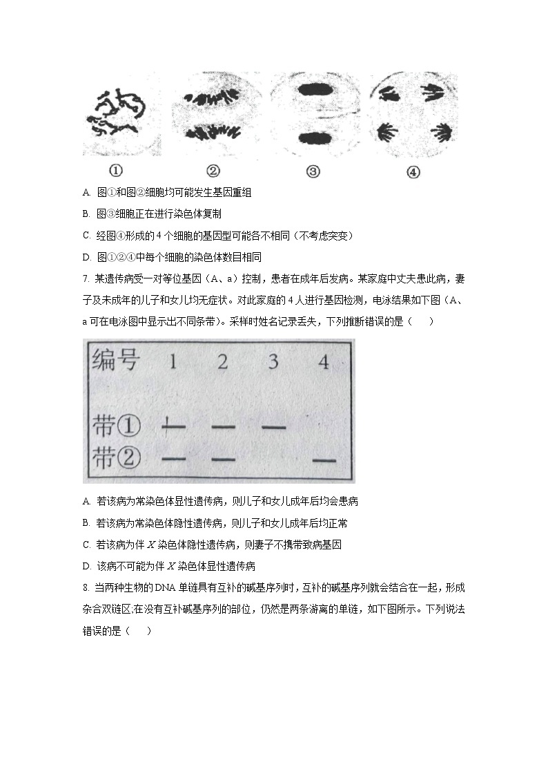 河北省唐山市2022-2023学年高三上学期学业水平调研考试生物试题含解析03