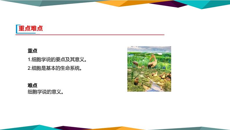 1.1《细胞是生命活动的基本单位》课件PPT+同步练习(含答案)03