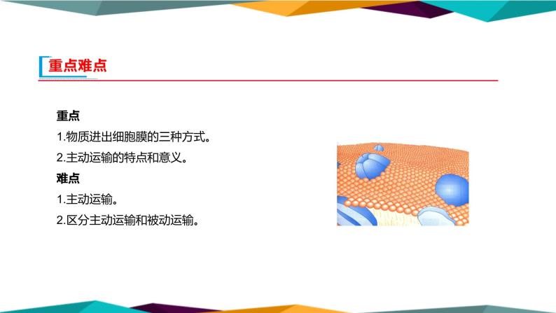 4.2《主动运输与胞吞、胞吐》课件PPT+同步练习（含答案）03