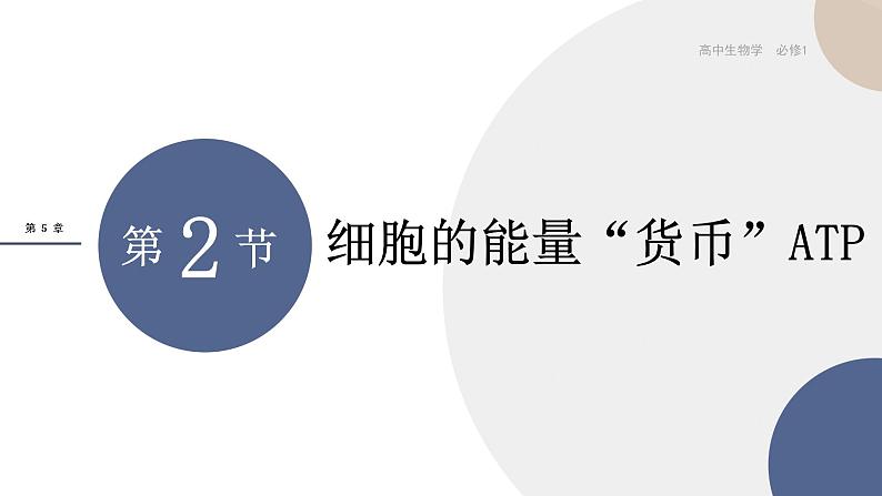 5.2《细胞的能量“货币”ATP》课件PPT+同步练习(含答案)01