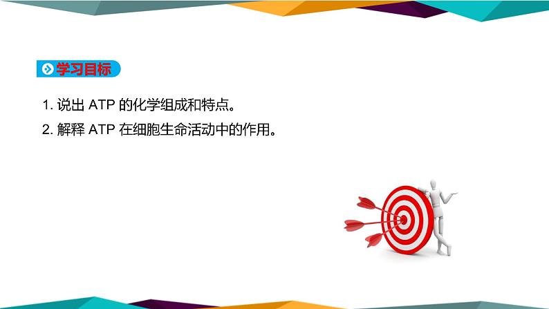 5.2《细胞的能量“货币”ATP》课件PPT+同步练习(含答案)02