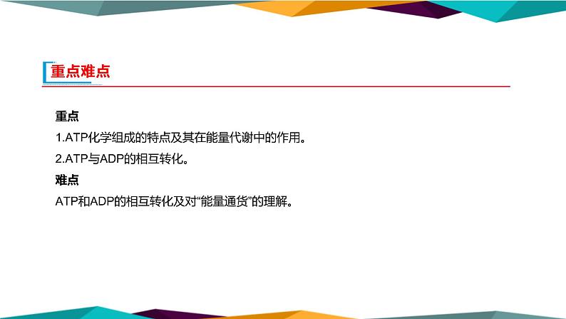 5.2《细胞的能量“货币”ATP》课件PPT+同步练习(含答案)03