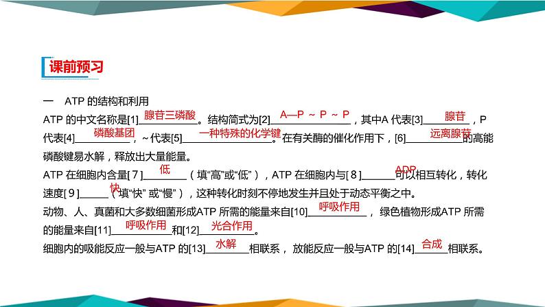 5.2《细胞的能量“货币”ATP》课件PPT+同步练习(含答案)04