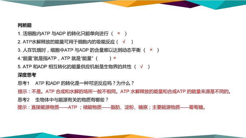 5.2《细胞的能量“货币”ATP》课件PPT+同步练习(含答案)05