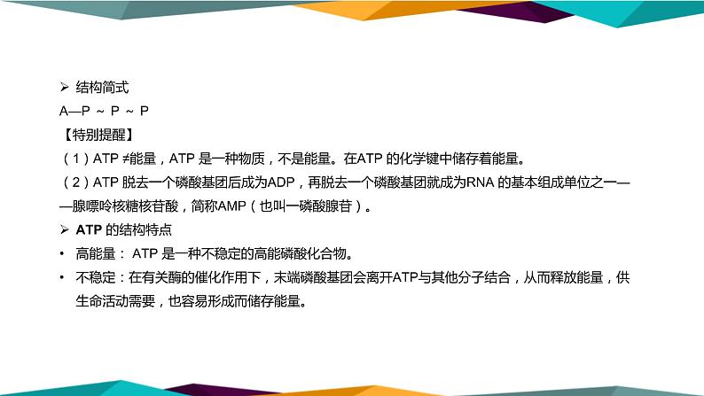 5.2《细胞的能量“货币”ATP》课件PPT+同步练习(含答案)07