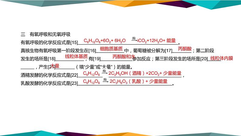 配套新教材高中生物学RJ必修1-5.3《细胞呼吸的原理和应用》课件PPT第5页