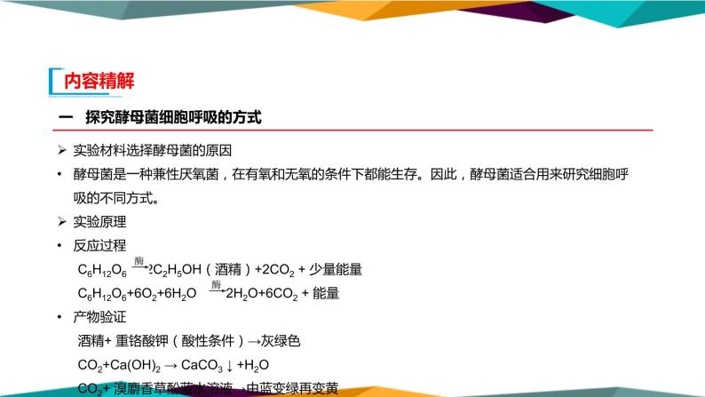 5.3《细胞呼吸的原理和应用》课件PPT+同步练习（含答案）08