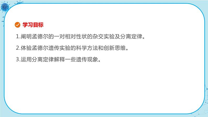 1.1《孟德尔的豌豆杂交实验(一)》课件PPT+同步练习(含答案)03