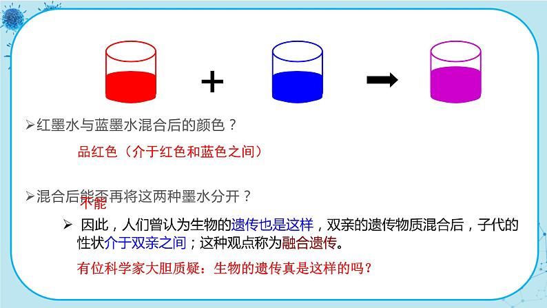 1.1《孟德尔的豌豆杂交实验(一)》课件PPT+同步练习(含答案)05