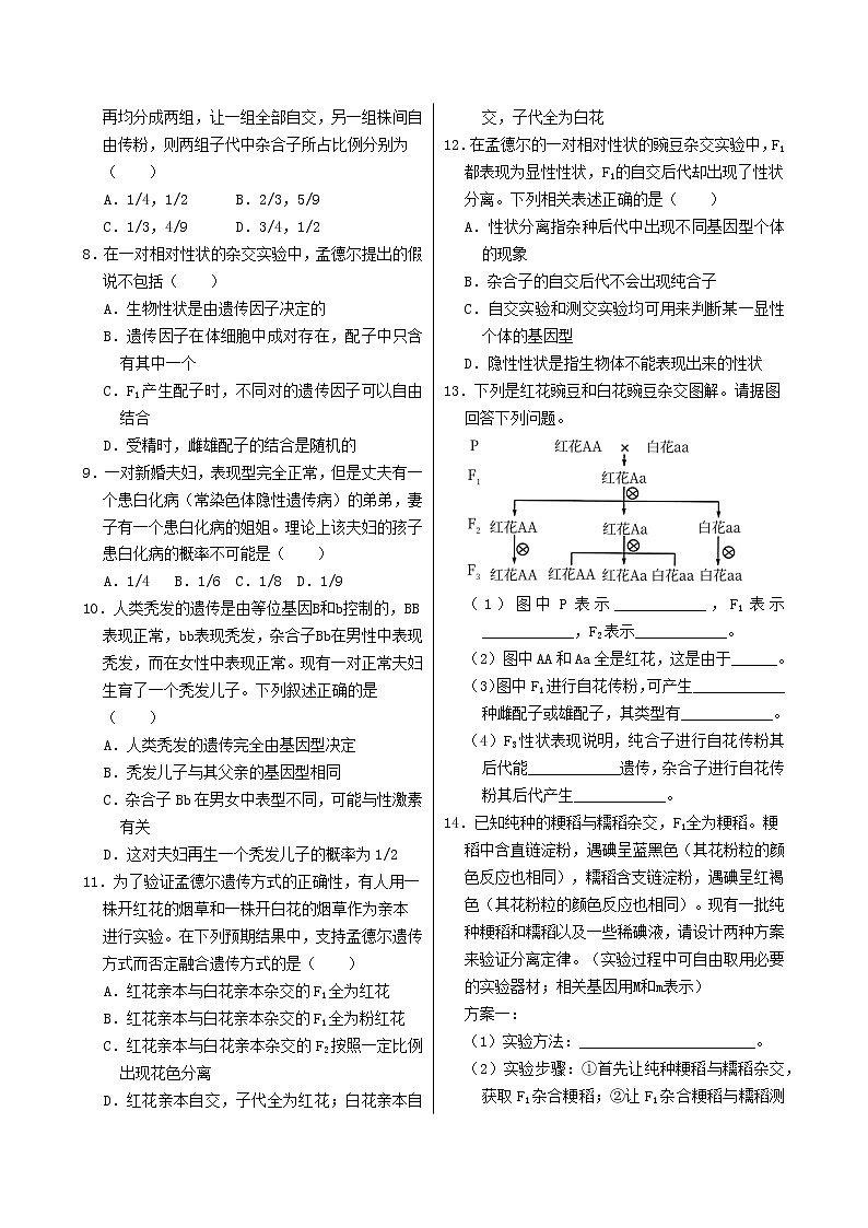 1.1《孟德尔的豌豆杂交实验(一)》课件PPT+同步练习(含答案)02