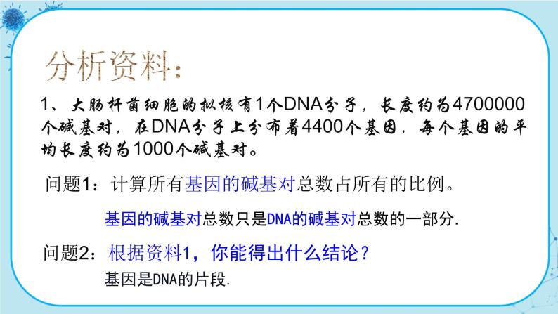 3.4《基因通常是有遗传效应的DNA片段》课件PPT+同步练习（含答案）06