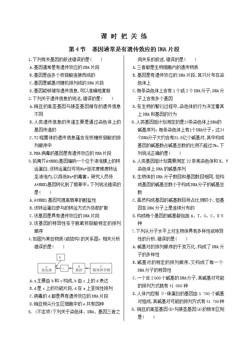 3.4《基因通常是有遗传效应的DNA片段》课件PPT+同步练习（含答案）01