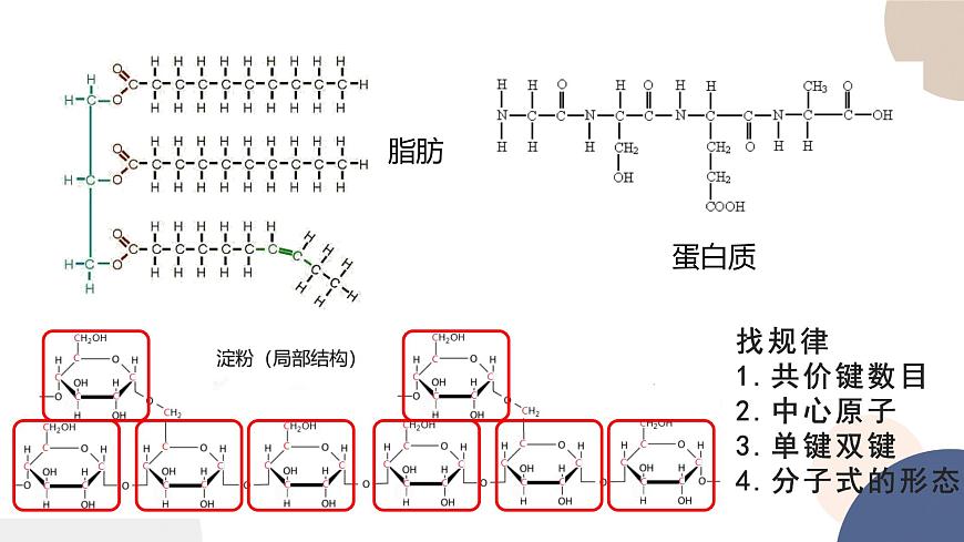 第一章- 第二節(jié)  細(xì)胞中的糖類和脂質(zhì)（課件PPT）第4頁(yè)