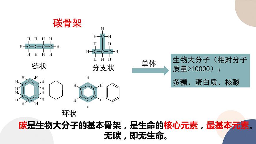 第一章- 第二節(jié)  細(xì)胞中的糖類和脂質(zhì)（課件PPT）第5頁(yè)