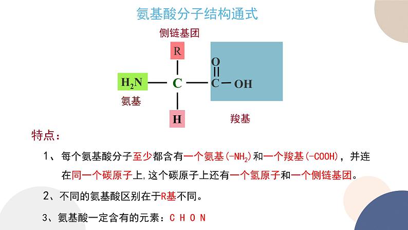 第一章- 第三节 细胞中的蛋白质和核酸 课时1(课件PPT)第6页