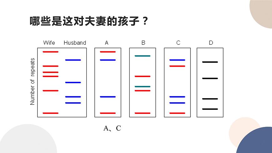 第一章- 第三節(jié) 細(xì)胞中的蛋白質(zhì)和核酸 課時(shí)2（課件PPT）第4頁(yè)