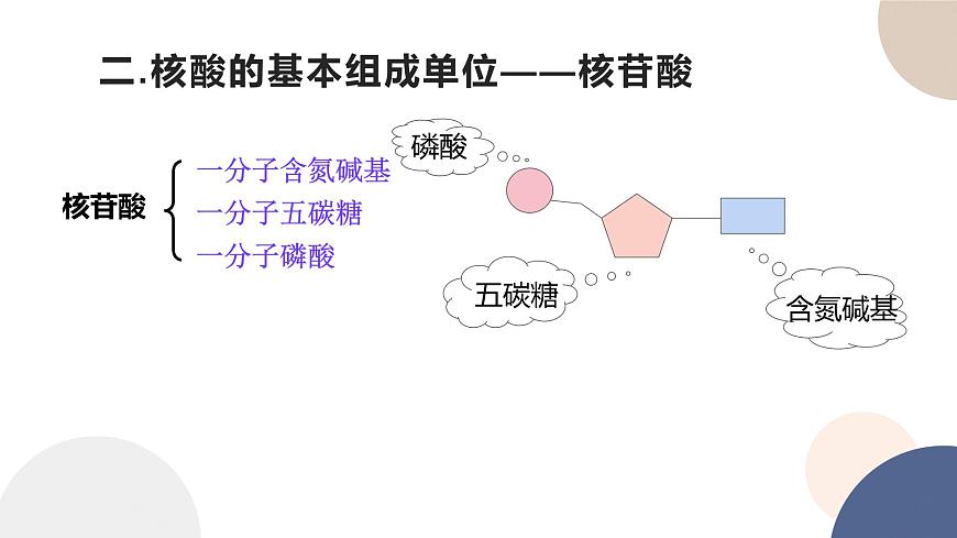 第一章- 第三節(jié) 細(xì)胞中的蛋白質(zhì)和核酸 課時(shí)2（課件PPT）第7頁(yè)