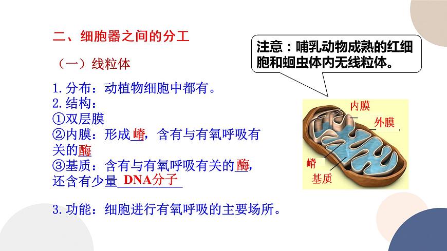 第二章- 第二節(jié)  細(xì)胞——生命活動的基本單位 課時2（課件PPT）第6頁