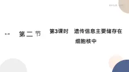 第二章- 第二節(jié)  細(xì)胞——生命活動(dòng)的基本單位 課時(shí)3（課件PPT）