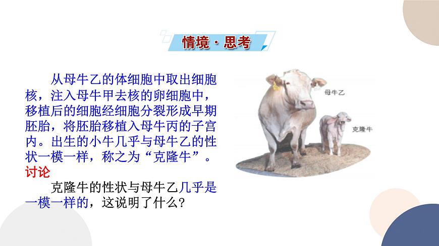 第二章- 第二節(jié)  細胞——生命活動的基本單位 課時3（課件PPT）第2頁