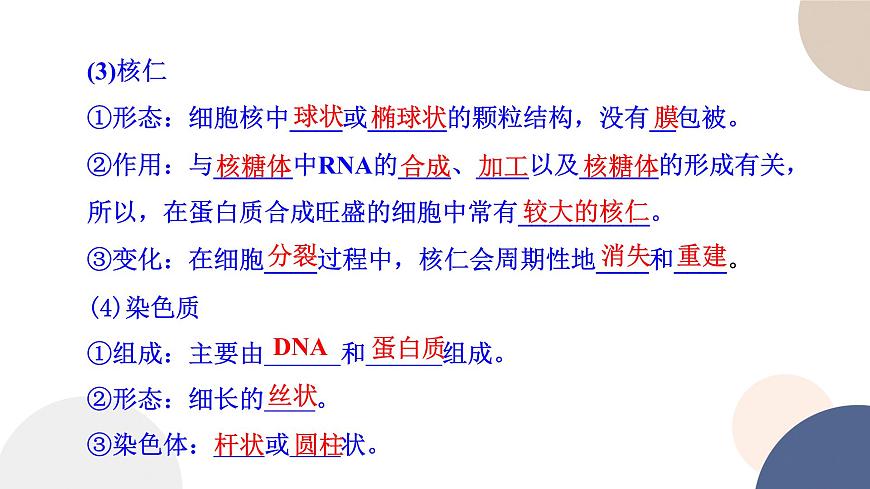第二章- 第二節(jié)  細胞——生命活動的基本單位 課時3（課件PPT）第5頁