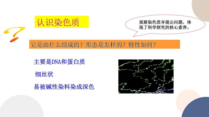第二章- 第二節(jié)  細胞——生命活動的基本單位 課時3（課件PPT）第6頁