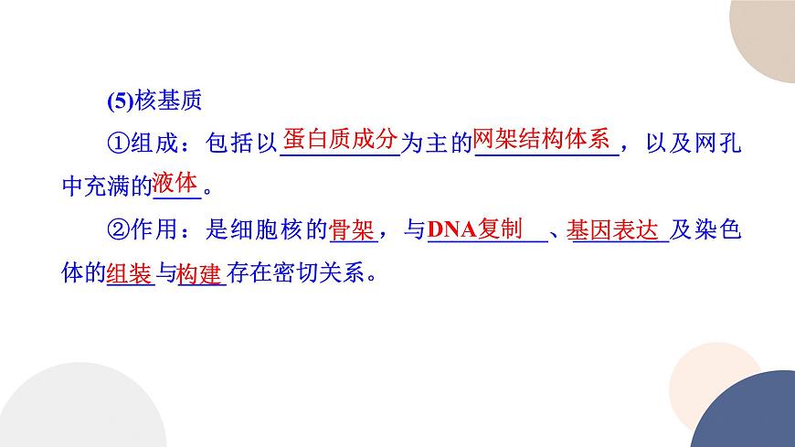 第二章- 第二節(jié)  細胞——生命活動的基本單位 課時3（課件PPT）第8頁