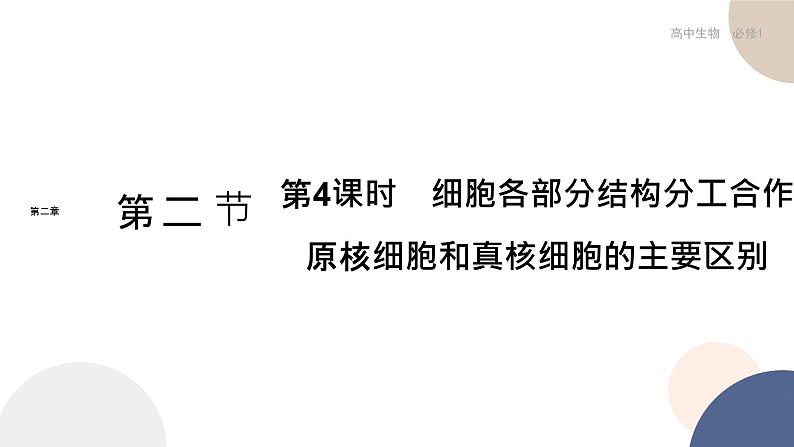 第二章- 第二节 细胞——生命活动的基本单位 课时4(课件PPT)01