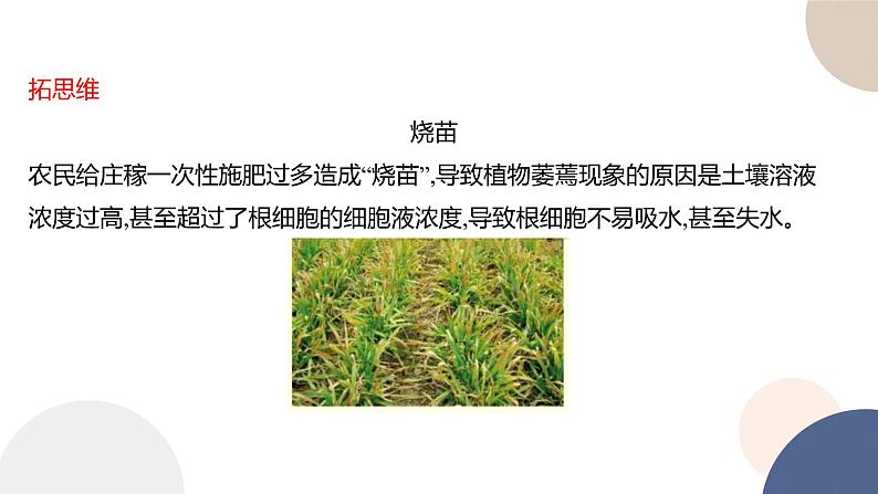 第二章- 第三节 物质进出细胞的运输方式 课时1(课件PPT)07