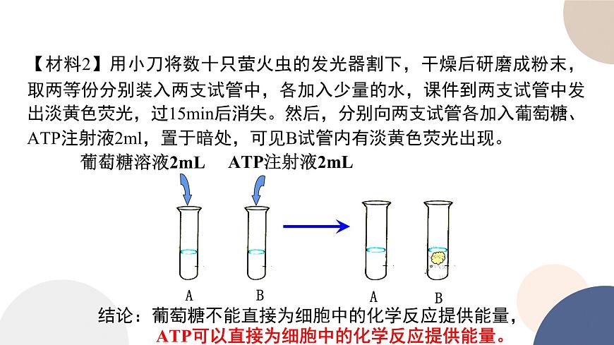 第三章- 第一節(jié)  生命活動(dòng)需要酶和能源物質(zhì)（課件PPT）第4頁