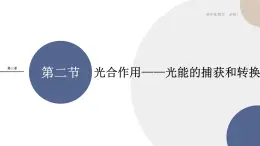 第三章- 第二節(jié)  光合作用——光能的捕獲和轉(zhuǎn)換（課件PPT）