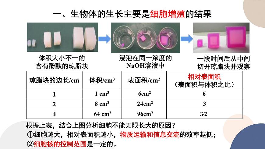 第四章- 第一節(jié)  細(xì)胞增殖（課件PPT）第4頁(yè)