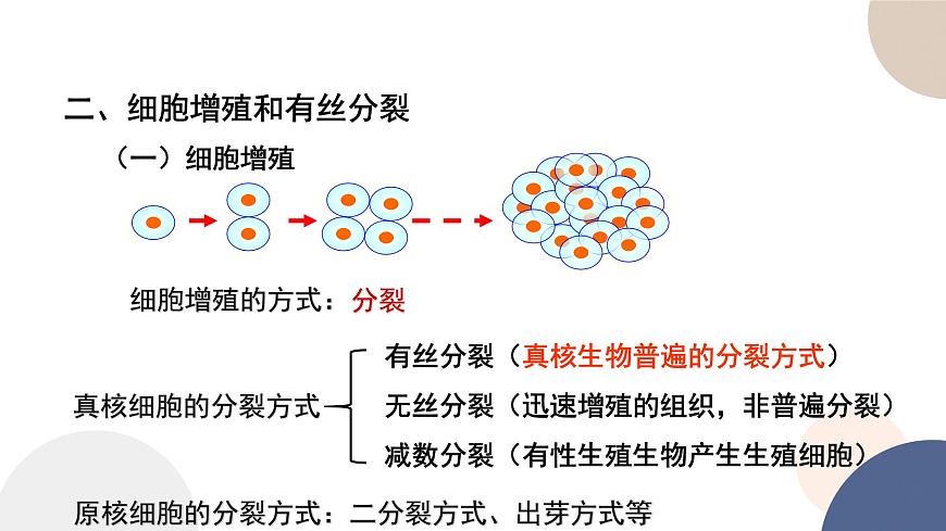 第四章- 第一節(jié)  細(xì)胞增殖（課件PPT）第6頁(yè)