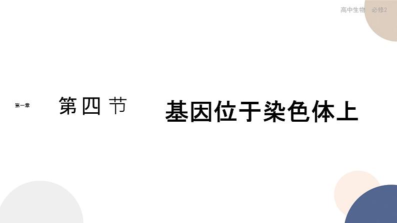 第一章 第四节 基因在染色体上(课件PPT)第1页