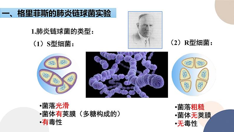 第二章 第一节 DNA是主要的遗传物质(课件PPT)第5页