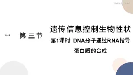 第二章 第三节 遗传信息控制生物的性状（第1课时）（课件PPT）