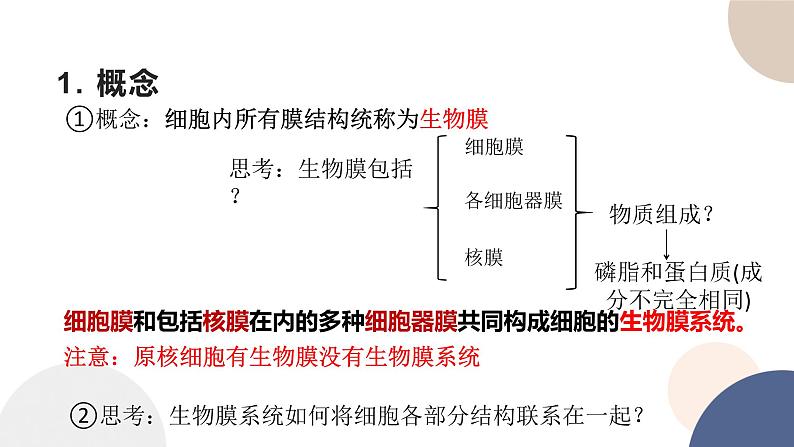 第二章- 第五节 细胞在结构和功能上是一个统一整体(课件PPT)05