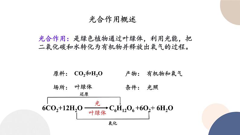 第三章- 第五节 光合作用将光能转化为化学能(课件PPT)03