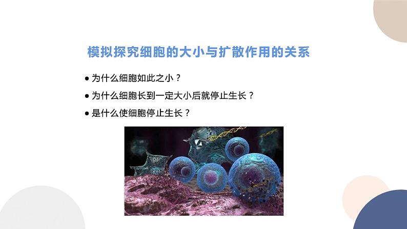 第四章- 第一节 细胞通过分裂增殖(课件PPT)04