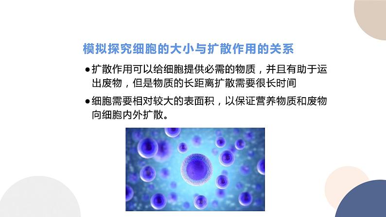 第四章- 第一节 细胞通过分裂增殖(课件PPT)05