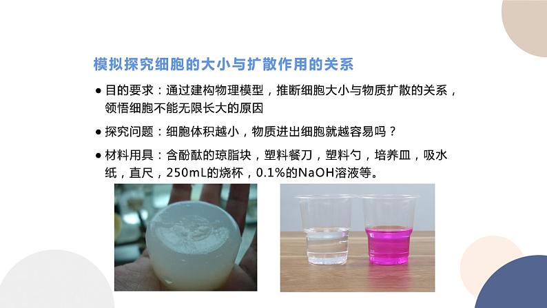 第四章- 第一节 细胞通过分裂增殖(课件PPT)06