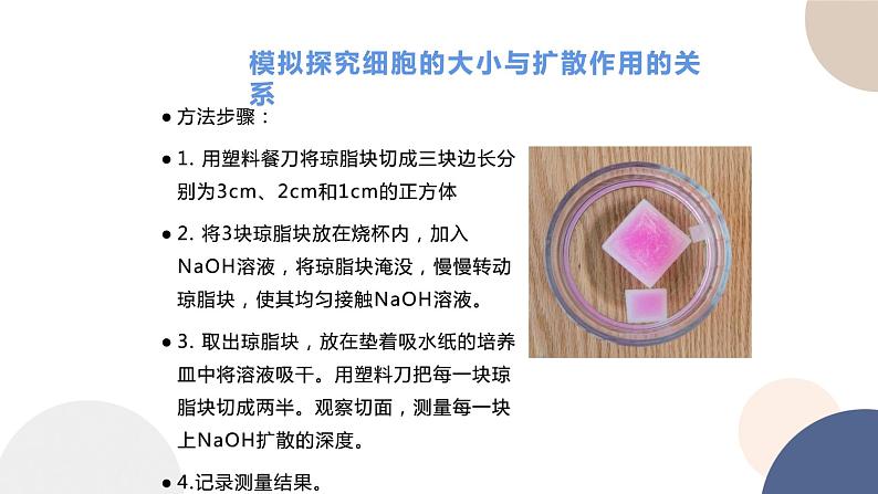 第四章- 第一节 细胞通过分裂增殖(课件PPT)08