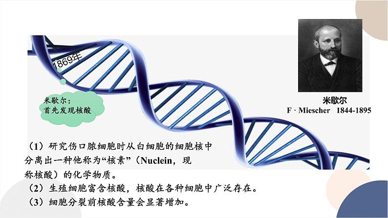 第三章- 第二节 遗传信息编码在DNA分子上(课件PPT)第4页