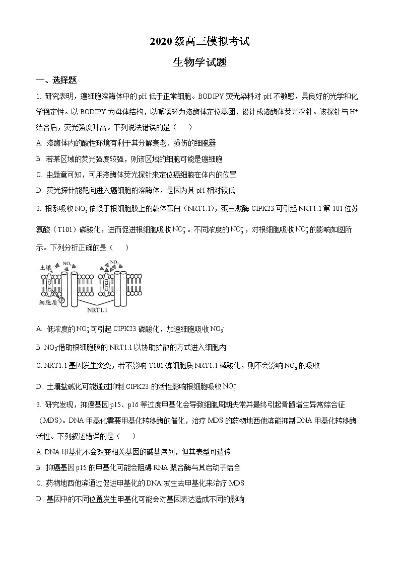 2023日照高三下学期一模生物试题含答案01